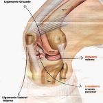 Medicina deportiva para la btt