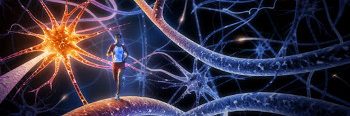 La importancia de la preparación mental y aliados para entrenar el cerebro