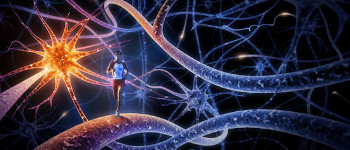 La importancia de la preparación mental y aliados para entrenar el cerebro La importancia de la preparación mental y aliados para entrenar el cerebro