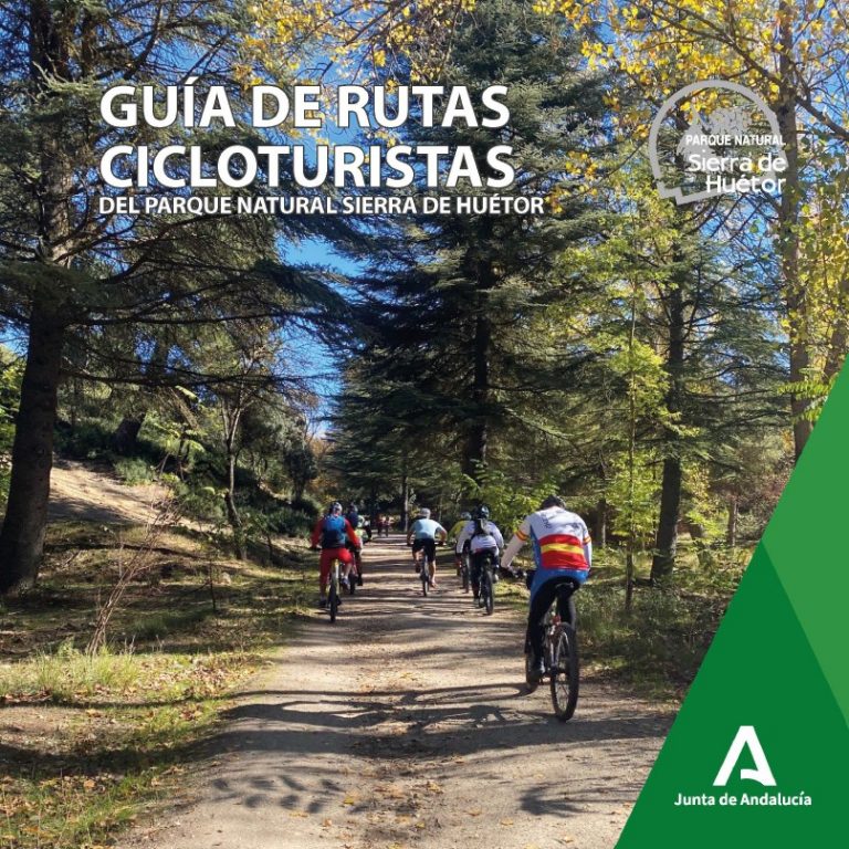 Captura de pantalla 2025-02-26 222922