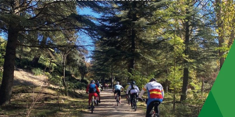 Captura de pantalla 2025-02-26 222922